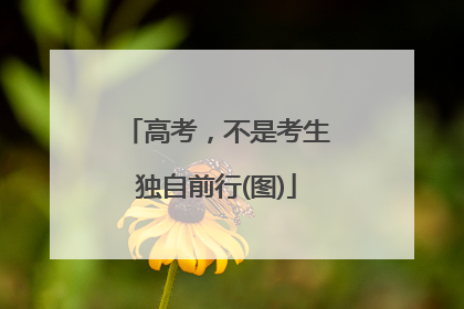 高考，不是考生独自前行(图)