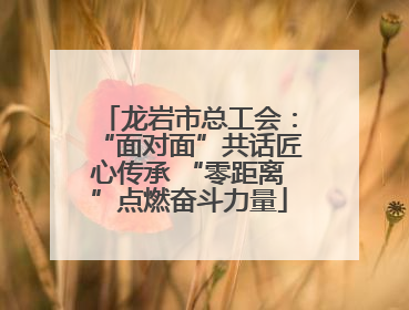 龙岩市总工会：“面对面”共话匠心传承 “零距离”点燃奋斗力量