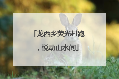 龙西乡荧光村跑，悦动山水间