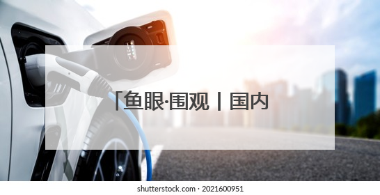 鱼眼·围观丨国内首个高考志愿大模型发布：AI填志愿，靠不靠谱？