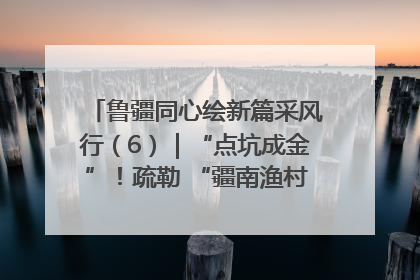 鲁疆同心绘新篇采风行（6）｜“点坑成金”！疏勒 “疆南渔村” 从废弃坑塘变身全国垂钓胜地
