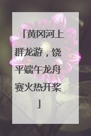黄冈河上群龙游，饶平端午龙舟赛火热开桨