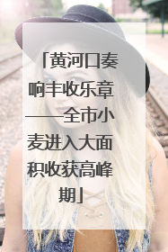 黄河口奏响丰收乐章——全市小麦进入大面积收获高峰期