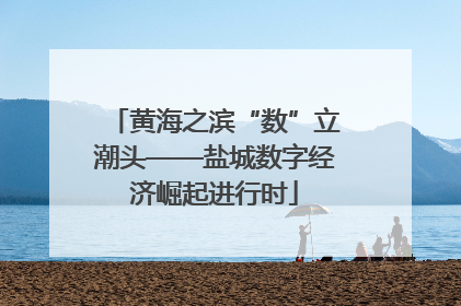 黄海之滨“数”立潮头——盐城数字经济崛起进行时
