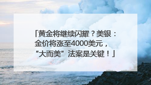 黄金将继续闪耀？美银：金价将涨至4000美元，“大而美”法案是关键！