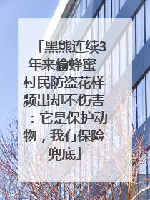 黑熊连续3年来偷蜂蜜 村民防盗花样频出却不伤害：它是保护动物，我有保险兜底
