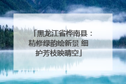 黑龙江省桦南县：精修绿韵绘新景 细护芳枝映晴空
