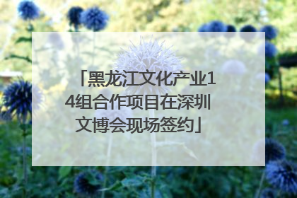 黑龙江文化产业14组合作项目在深圳文博会现场签约