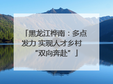黑龙江桦南：多点发力 实现人才乡村“双向奔赴”