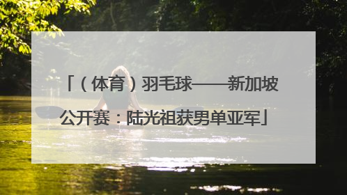 （体育）羽毛球——新加坡公开赛：陆光祖获男单亚军