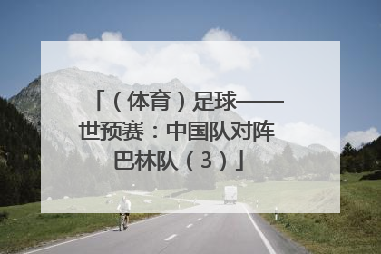 （体育）足球——世预赛：中国队对阵巴林队（3）