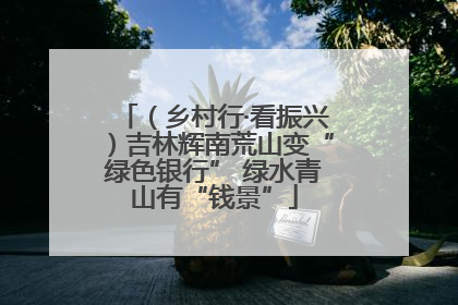 （乡村行·看振兴）吉林辉南荒山变“绿色银行” 绿水青山有“钱景”