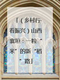 （乡村行·看振兴）山西襄垣：一粒“米”的新“稻”路