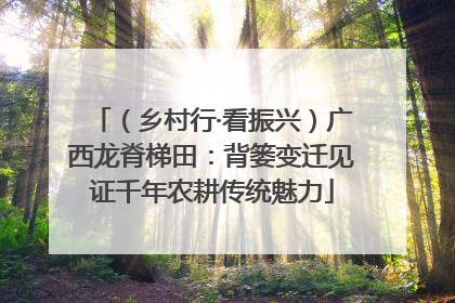 （乡村行·看振兴）广西龙脊梯田：背篓变迁见证千年农耕传统魅力