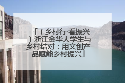（乡村行·看振兴）浙江金华大学生与乡村结对：用文创产品赋能乡村振兴