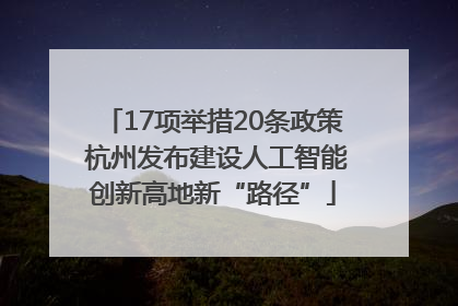 17项举措20条政策 杭州发布建设人工智能创新高地新“路径”
