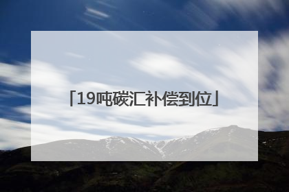 19吨碳汇补偿到位