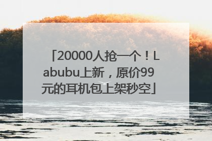 20000人抢一个！Labubu上新，原价99元的耳机包上架秒空