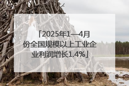 2025年1—4月份全国规模以上工业企业利润增长1.4%