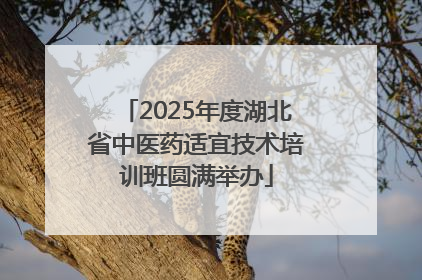 2025年度湖北省中医药适宜技术培训班圆满举办