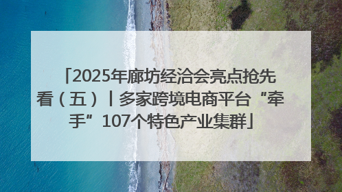 2025年廊坊经洽会亮点抢先看（五）丨多家跨境电商平台“牵手”107个特色产业集群