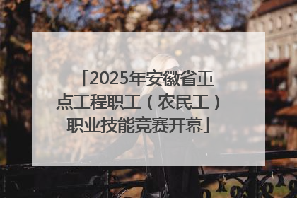 2025年安徽省重点工程职工（农民工）职业技能竞赛开幕
