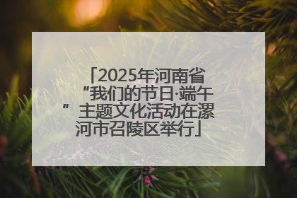 2025年河南省“我们的节日·端午”主题文化活动在漯河市召陵区举行