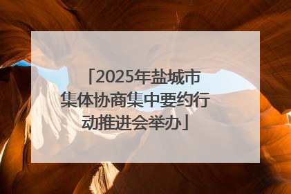 2025年盐城市集体协商集中要约行动推进会举办