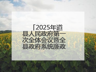 2025年道县人民政府第一次全体会议暨全县政府系统廉政工作会议召开