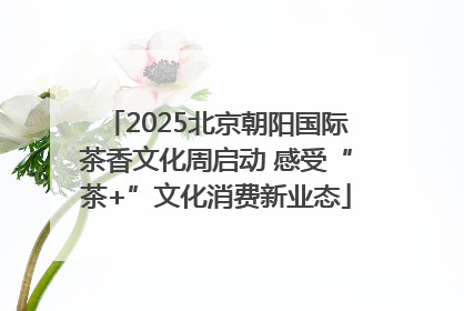 2025北京朝阳国际茶香文化周启动 感受“茶+”文化消费新业态