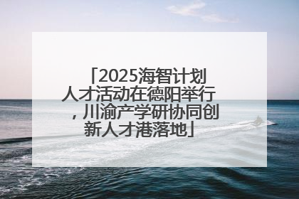 2025海智计划人才活动在德阳举行，川渝产学研协同创新人才港落地