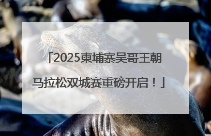 2025柬埔寨吴哥王朝马拉松双城赛重磅开启！