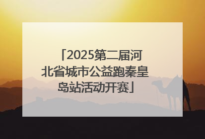 2025第二届河北省城市公益跑秦皇岛站活动开赛