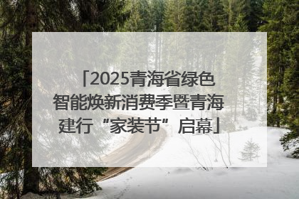 2025青海省绿色智能焕新消费季暨青海建行“家装节”启幕