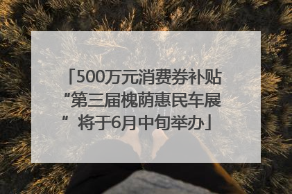500万元消费券补贴 “第三届槐荫惠民车展”将于6月中旬举办