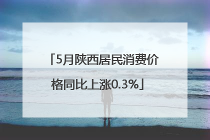 5月陕西居民消费价格同比上涨0.3%