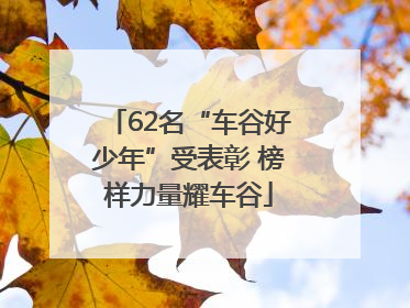 62名“车谷好少年”受表彰 榜样力量耀车谷