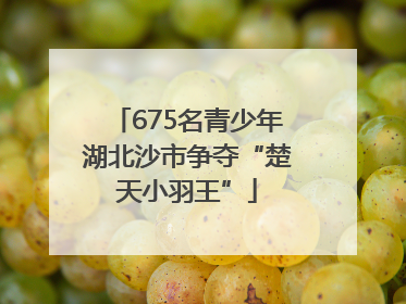675名青少年湖北沙市争夺“楚天小羽王”