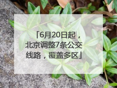 6月20日起，北京调整7条公交线路，覆盖多区