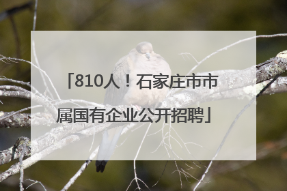 810人！石家庄市市属国有企业公开招聘