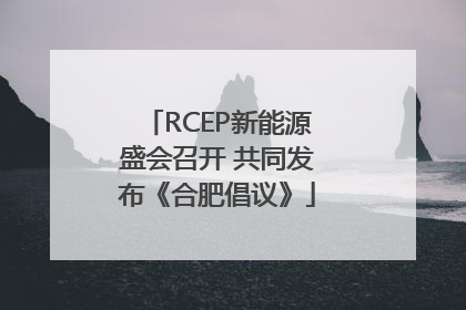 RCEP新能源盛会召开 共同发布《合肥倡议》